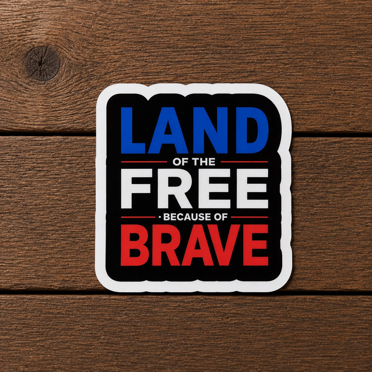 Land of the Free - Words