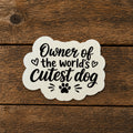 Cutest Dog