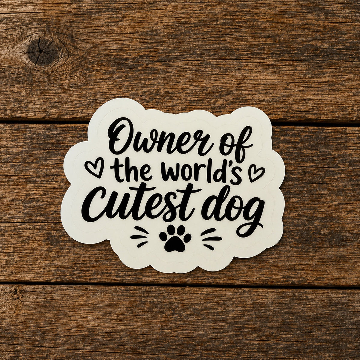 Cutest Dog